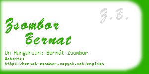 zsombor bernat business card