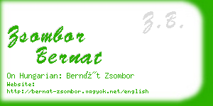 zsombor bernat business card